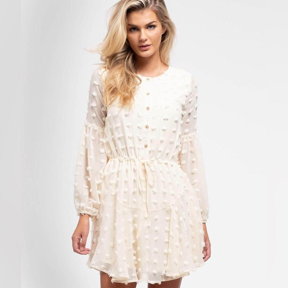 Blu Pepper Long Sleeve Semi-Sheer Swiss Dot Dress in Cream Womens Size Medium